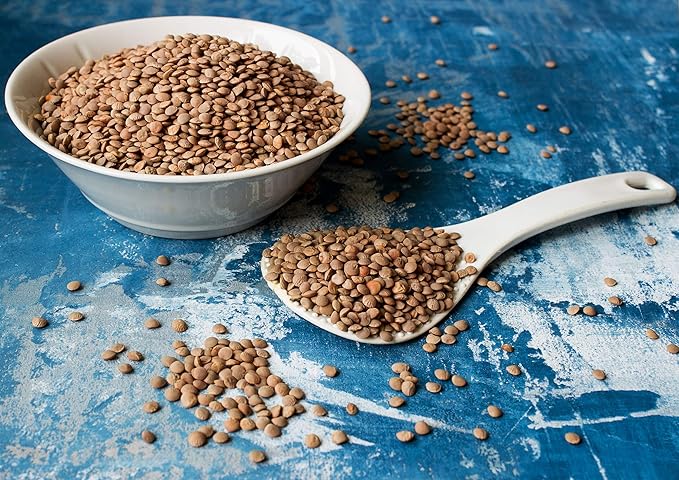 Food to Live Organic Whole Red Lentils, 1 Pound Non-GMO, Dry Raw Lentils, Sproutable, Vegan