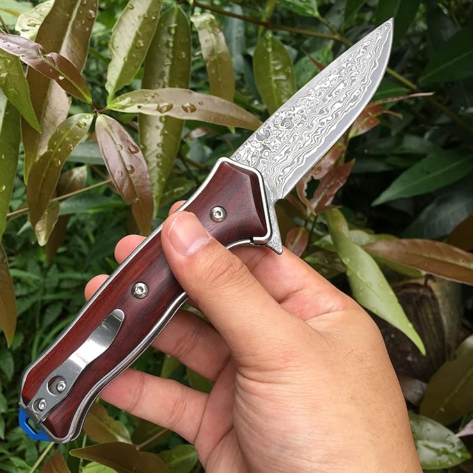 ALBATROSS Premium Damascus Folding Knife - EDC Pocket Knife with Cocobolo Wood Handle, 3.5" Blade