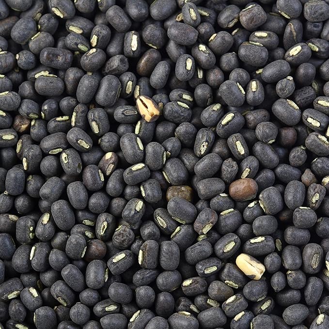 Rani Urid/Urad Whole Black (Matpe Beans with Skin) Indian Lentils 400oz (25lbs) 11.36kg Bulk Box ~