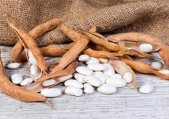 Food to Live Organic White Kidney Beans, 6 Pounds Whole Raw Dried Beans, Vegan, Kosher, Bulk. Rich