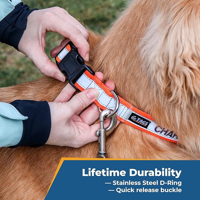 GoTags Reflective Personalized Dog Collar, Custom Embroidered Safety Collar with Pet Name and Phone