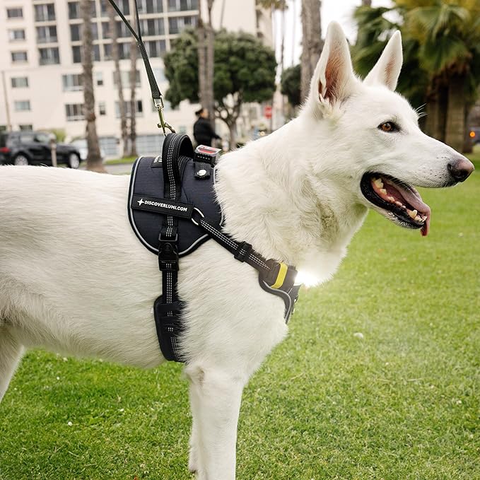 Lumi One LED Dog Harness for Night Visibility and Safety, Patent Pending ??High-Visibility Light-Up