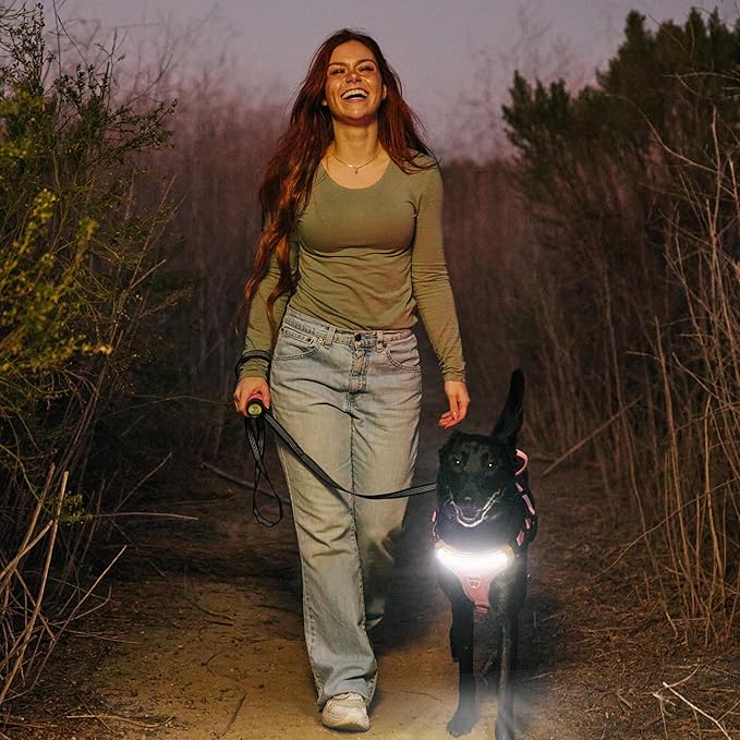 Lumi One LED Dog Harness for Night Visibility and Safety, Patent Pending ??High-Visibility Light-Up