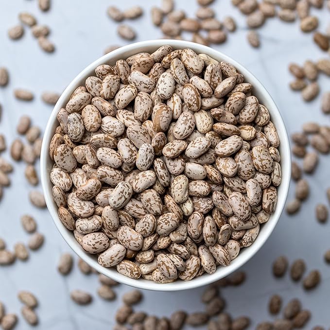 High Plains Pinto Beans | 25 Pound Bag | Farm-Fresh Pinto Beans | Non-GMO Verified | High Protein &