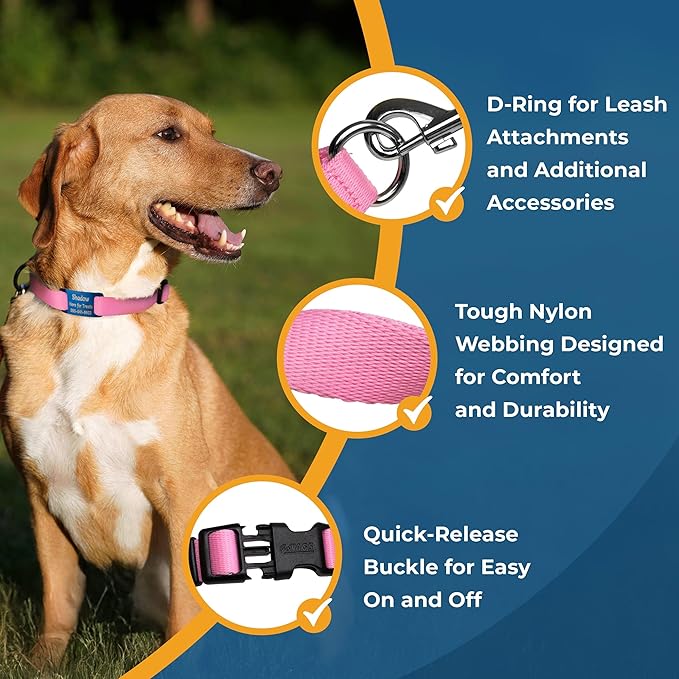 GoTags Personalized Dog Collar with Nameplate, Adjustable Dog Collar with Custom Engraved Slide On