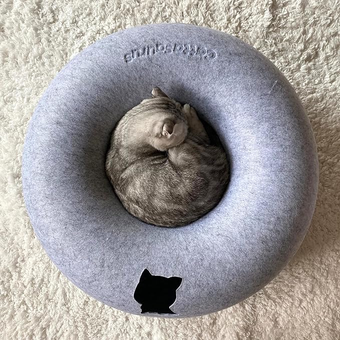 Cattasaurus Peekaboo Cat Cave, Extra Spacious for Multiple & Large Cats 12+ lbs, Scratch Detachable