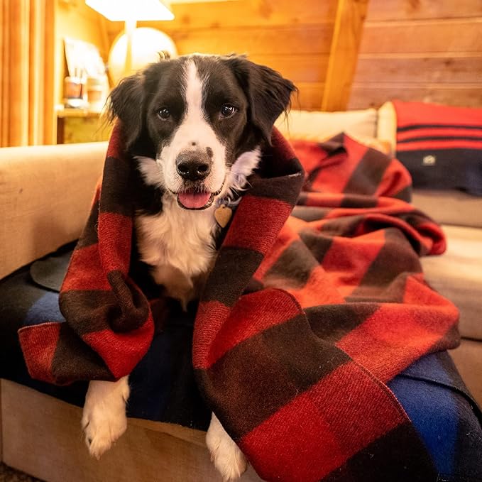 Arcturus Plaid Wool Blankets - 4.5lbs Warm, Heavy, Washable, Large | Great for Camping, Outdoors