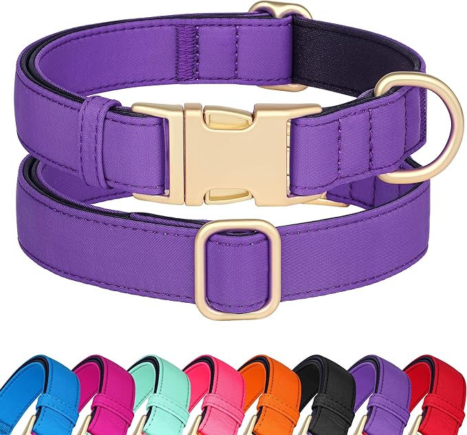 Didog Soft Padded Dog Collars for Medium Dogs, Colorful and Durable Dog Collar with Quick Release
