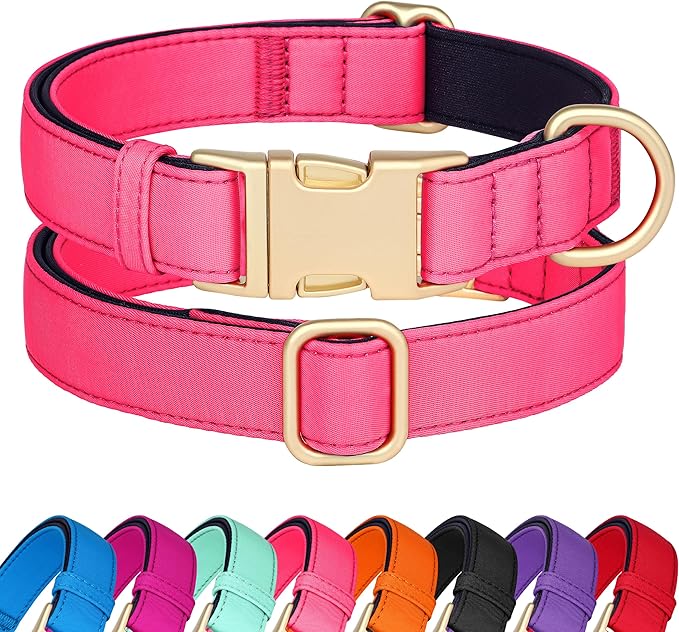 Didog Soft Padded Dog Collar for Large Dogs, Colorful and Durable Pet Collar with Quick Release
