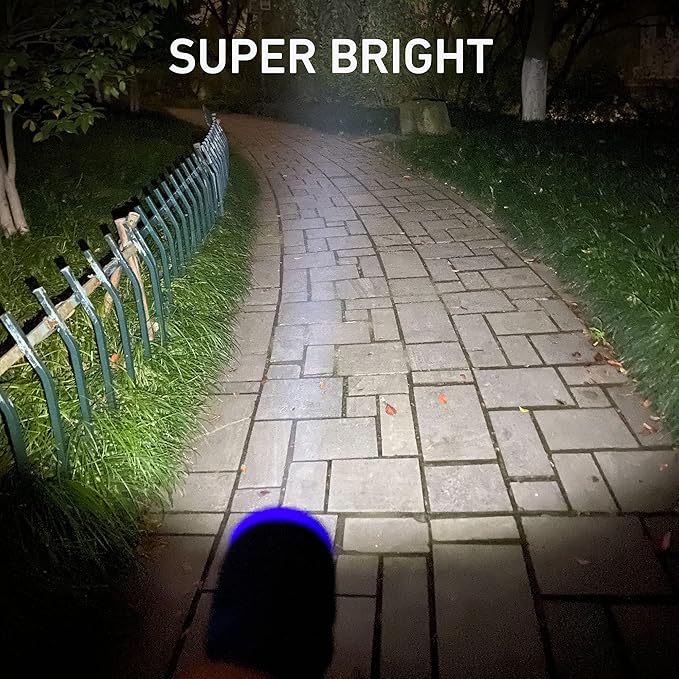 20-Pack Small Flashlights Set, Super Bright 100 Lumen LED Flashlight Pack with 60-Piece AAA