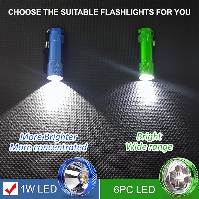 FASTPRO 20-Pack 100 Lumen Super Bright Aluminum LED Flashlights Set, with AAA Dry Batteries