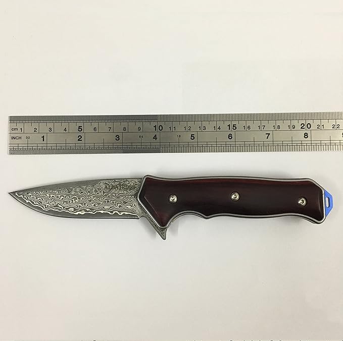 ALBATROSS Premium Damascus Folding Knife - EDC Pocket Knife with Cocobolo Wood Handle, 3.5" Blade
