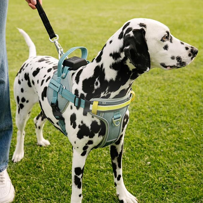 Lumi One- The Only Dog Harness That Lights Your Path at Night! Patent-Pending. Dog Safety Gear