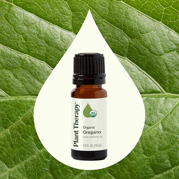 Plant Therapy Organic Oregano Essential Oil 100% Pure, USDA Certified Organic, Undiluted, Natural
