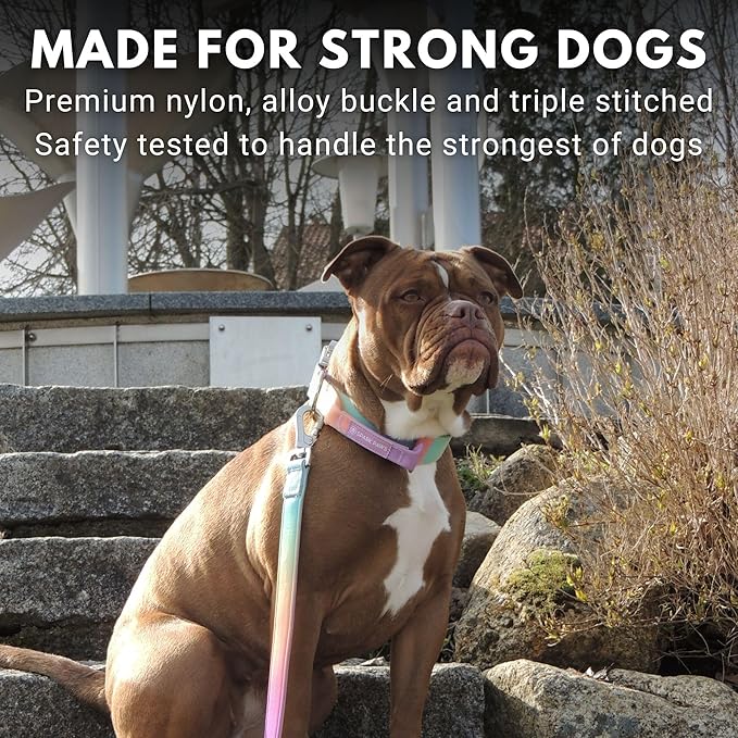 Spark Paws Tactical Dog Collar with Handle - Premium Quality Collar, Robust and Durable Design for