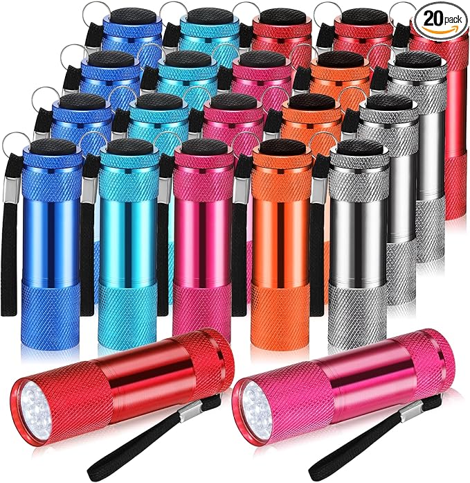 VIHOSE 20 Pcs Mini Flashlights Bulk, Bright Aluminum Handheld Flash Light with Lanyard Small LED