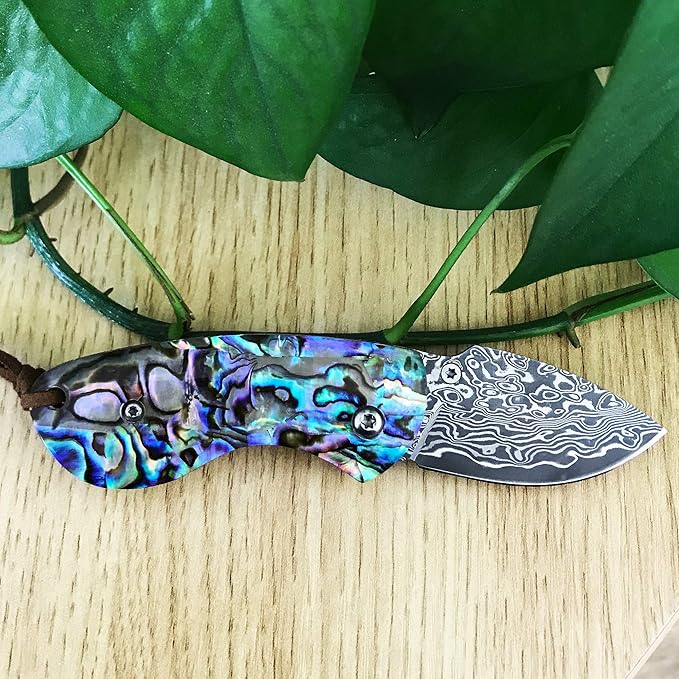 ALBATROSS Mini Pocket Knife - 4.75" Modern Damascus Steel Folding Knife with Abalone Seashell