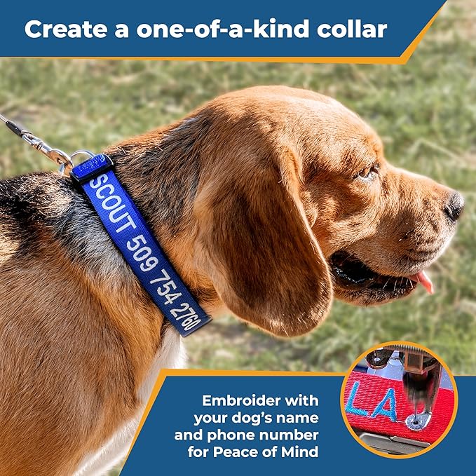 GoTags Personalized Dog Collar, Custom Embroidered Pet ID Dog Collar with Pet Name and Phone