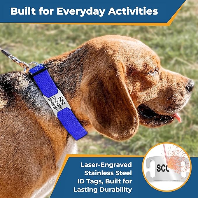 GoTags Personalized Dog Collar with Nameplate, Adjustable Dog Collar with Custom Engraved Slide On