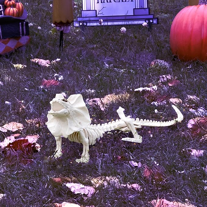 17" Frilled Lizard Skeleton Halloween Decoration- Weather Resistant for Indoor/Outdoor Spooky