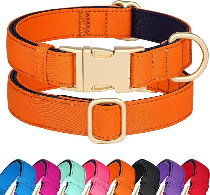 Didog Soft Padded Dog Collars for Medium Dogs, Colorful and Durable Dog Collar with Quick Release