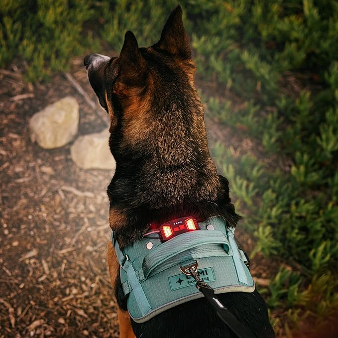 Lumi One LED Dog Harness for Night Visibility and Safety, Patent Pending?“High-Visibility Light-Up