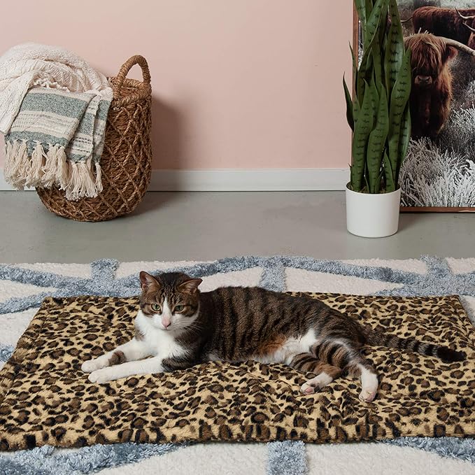 Furhaven ThermaNAP Self-Warming Cat Bed for Indoor Cats & Large/Medium Dogs, Washable & Reflects