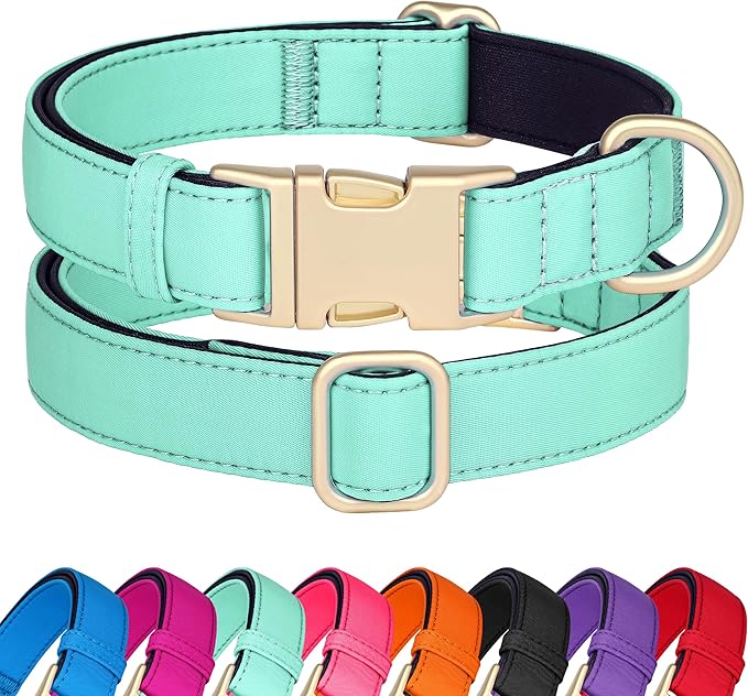 Didog Soft Padded Dog Collar for Large Dogs, Colorful and Durable Pet Collar with Quick Release