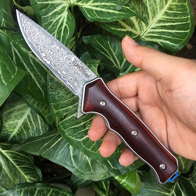 ALBATROSS Premium Damascus Folding Knife - EDC Pocket Knife with Cocobolo Wood Handle, 3.5" Blade