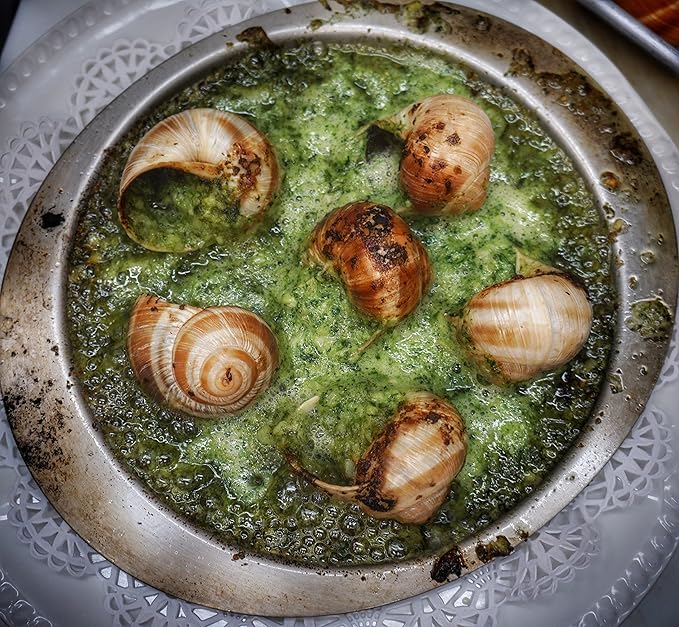 Premium Escargot Wild Burgundy Snails ??Rated Number One ??Best For Escargot Recipes, Various Sizes