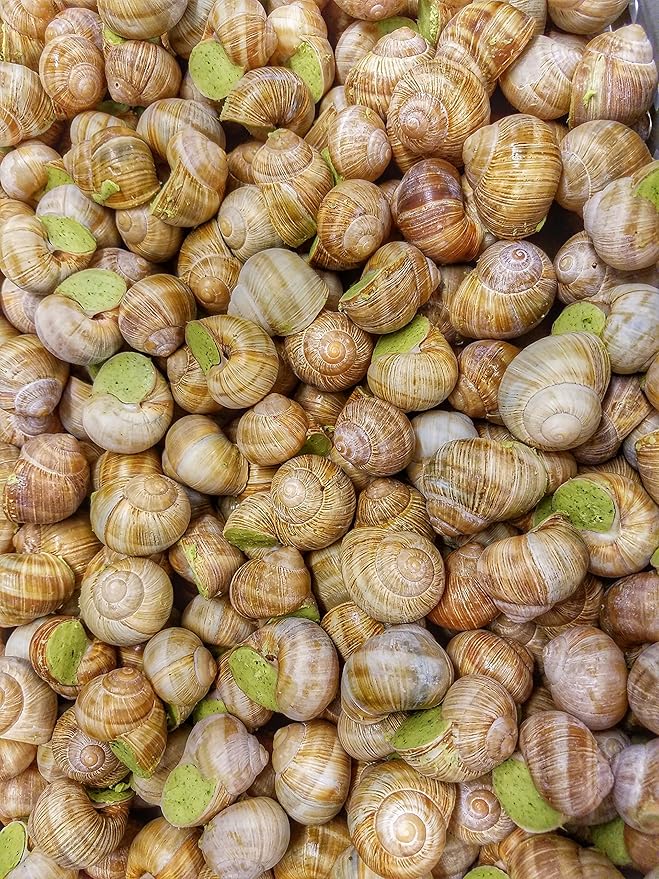 Premium Escargot Wild Burgundy Snails ??Rated Number One ??Best For Escargot Recipes, Various Sizes
